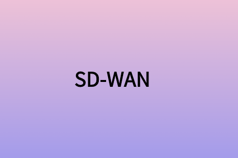 安全SD-WAN如何為企業(yè)提供較好網絡連接?