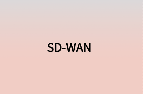 對(duì)企業(yè)而言，SD-WAN意味著什么?