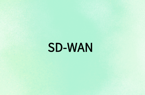 SD-WAN 與遠(yuǎn)程用戶(hù)