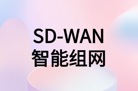 SD-WAN智能組網(wǎng)方案能為企業(yè)解決什么實(shí)質(zhì)性問(wèn)題?