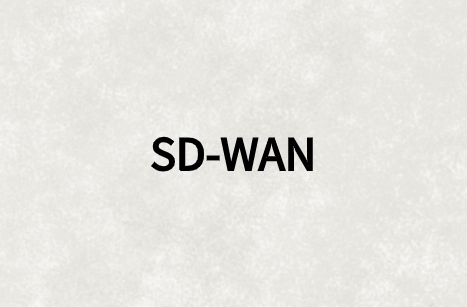 SD-WAN為企業(yè)有效增加分支站點(diǎn)帶寬需求